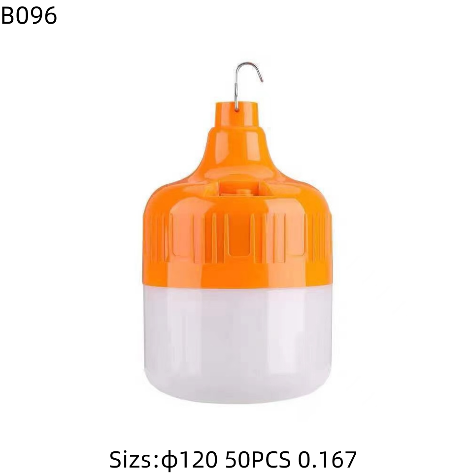 B096