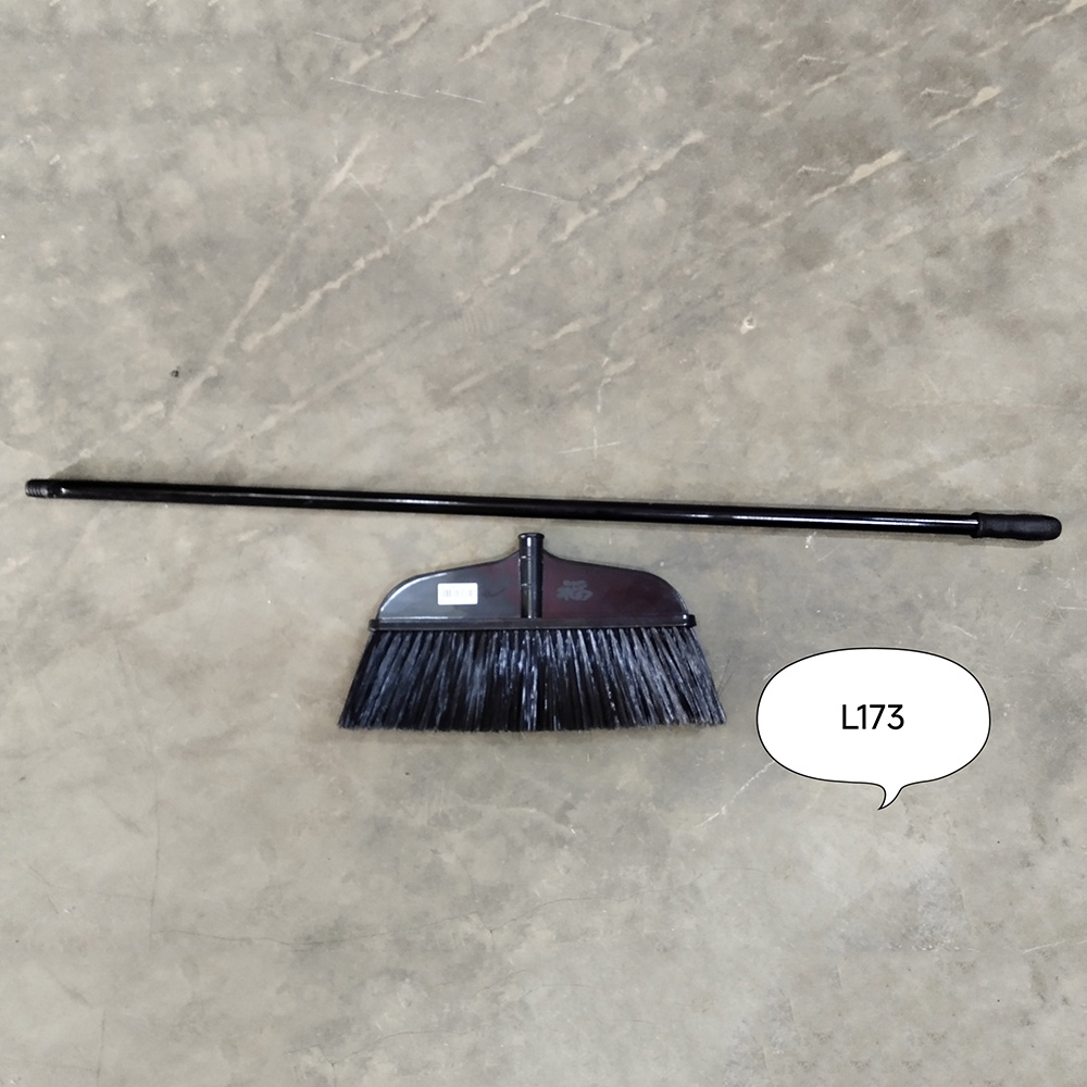 L173
